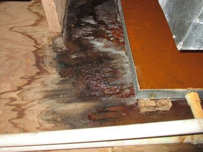 About water damage restoration service - emergency water extraction services experts in Scottsdale
